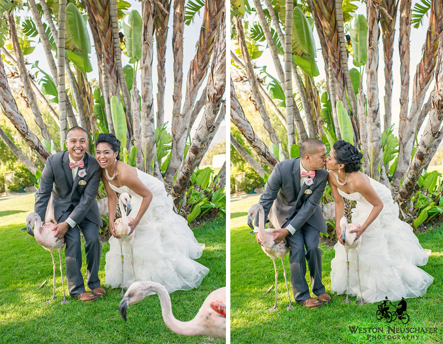 Santa Barbara Zoo Wedding Estates Santa Barbara Zoo